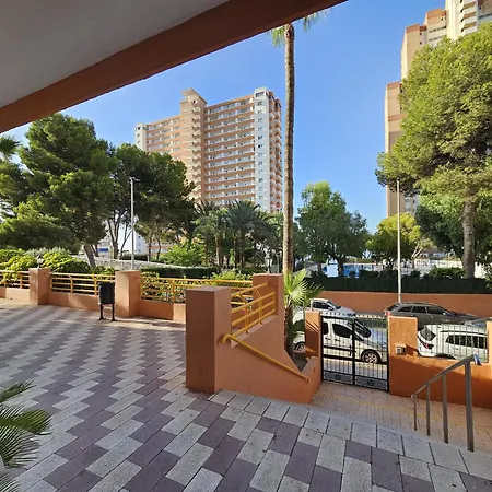 Provima B 7 If Бенидорм