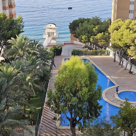 Provima B 7 If * Бенидорм